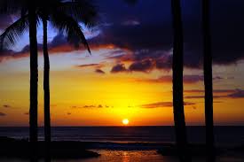 pixabay hawaii sunset w palms